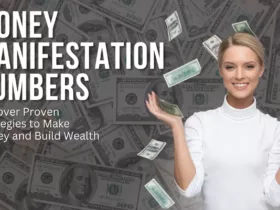 money manifestaion numbers